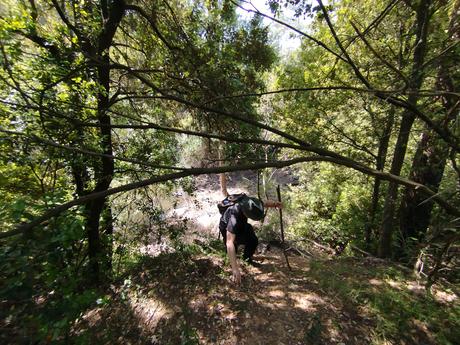 Llac de la Pepa y Pantà de la Mixeta: ruta circular por el Torrent del Llop | Castellar del Vallès (Vallès Occidental)