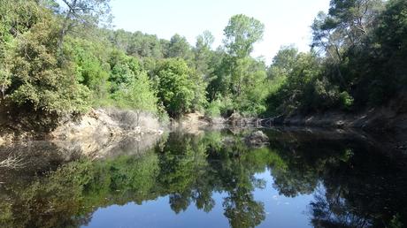 Llac de la Pepa y Pantà de la Mixeta: ruta circular por el Torrent del Llop | Castellar del Vallès (Vallès Occidental)