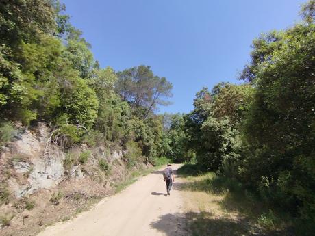 Llac de la Pepa y Pantà de la Mixeta: ruta circular por el Torrent del Llop | Castellar del Vallès (Vallès Occidental)