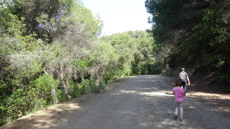 Llac de la Pepa y Pantà de la Mixeta: ruta circular por el Torrent del Llop | Castellar del Vallès (Vallès Occidental)