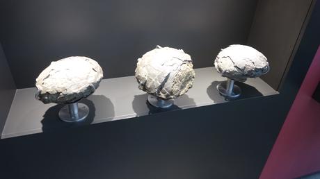 Los titanosaurios de Fumanya 🦕: los dinosaurios que habitaron los Pirineos | El Berguedà Los titanosaurios de Fumanya 🦕: los dinosaurios que habitaron los Pirineos | El Berguedà