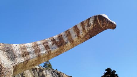 Los titanosaurios de Fumanya 🦕: los dinosaurios que habitaron los Pirineos | El Berguedà Los titanosaurios de Fumanya 🦕: los dinosaurios que habitaron los Pirineos | El Berguedà