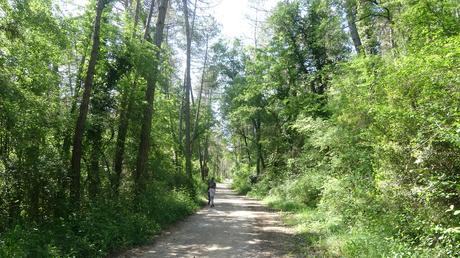 Cómo descubrir los Dolls de l’Aigua d’Ora desde Sorba | El Berguedà Cómo descubrir los Dolls de l’Aigua d’Ora desde Sorba | El Berguedà