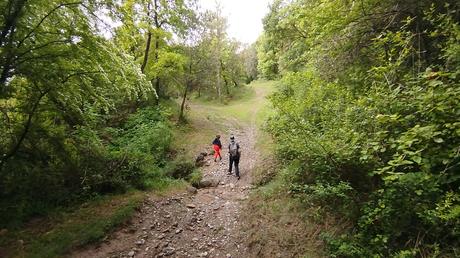 Ruta circular desde Cal Rosal al Salt de la Frau | El Berguedà Ruta circular desde Cal Rosal al Salt de la Frau | El Berguedà