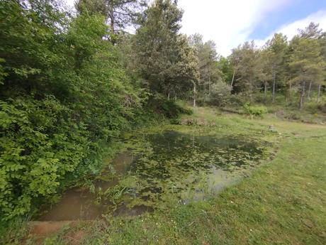 Ruta circular desde Cal Rosal al Salt de la Frau | El Berguedà Ruta circular desde Cal Rosal al Salt de la Frau | El Berguedà