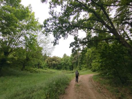 Ruta circular desde Cal Rosal al Salt de la Frau | El Berguedà Ruta circular desde Cal Rosal al Salt de la Frau | El Berguedà