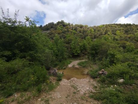 Explora el Pantà de Fuives: ruta circular, vistas increíbles y baño en la riera | El Berguedà Explora el Pantà de Fuives: ruta circular, vistas increíbles y baño en la riera | El Berguedà
