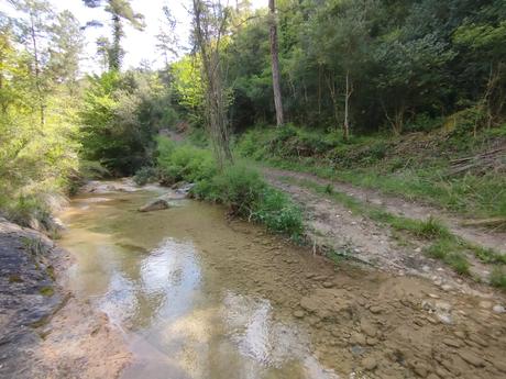Explora el Pantà de Fuives: ruta circular, vistas increíbles y baño en la riera | El Berguedà Explora el Pantà de Fuives: ruta circular, vistas increíbles y baño en la riera | El Berguedà