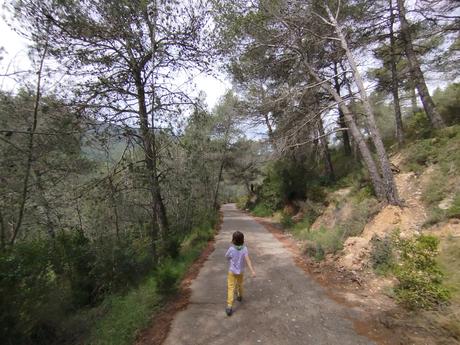 Explora el Toll de l’Esqueix: una poza con cascada y puentes colgantes en El Pinetell | Conca de Barberà (Tarragona) Explora el Toll de l’Esqueix: una poza con cascada y puentes colgantes en El Pinetell | Conca de Barberà (Tarragona)