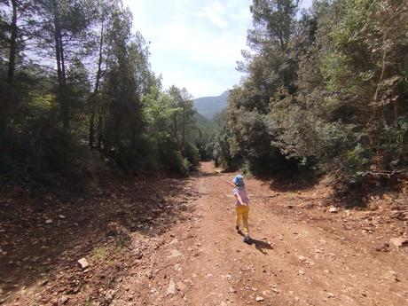 Explora el Toll de l’Esqueix: una poza con cascada y puentes colgantes en El Pinetell | Conca de Barberà (Tarragona) Explora el Toll de l’Esqueix: una poza con cascada y puentes colgantes en El Pinetell | Conca de Barberà (Tarragona)