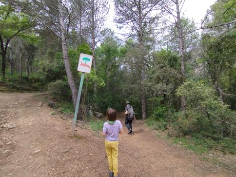 Explora el Toll de l’Esqueix: una poza con cascada y puentes colgantes en El Pinetell | Conca de Barberà (Tarragona) Explora el Toll de l’Esqueix: una poza con cascada y puentes colgantes en El Pinetell | Conca de Barberà (Tarragona)