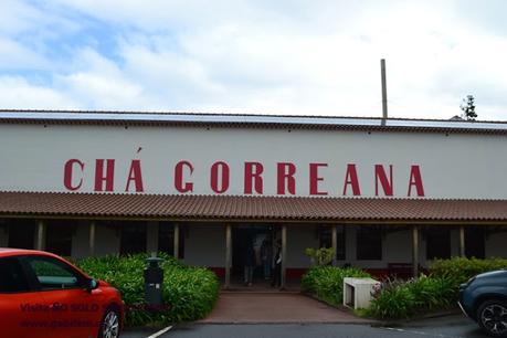 Chá Gorreana