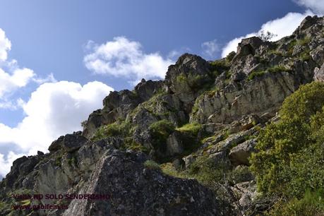 Pinturas Rupestres de La Calderita Pinturas Rupestres de La Calderita