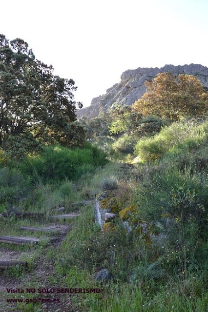 Pinturas Rupestres de La Calderita Pinturas Rupestres de La Calderita