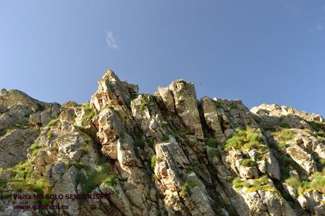 Pinturas Rupestres de La Calderita Pinturas Rupestres de La Calderita