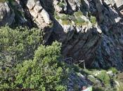 Pinturas Rupestres Calderita