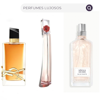 Fragancias con poder emocional: cómo el perfume puede calmarte, enamorarte o motivarte.