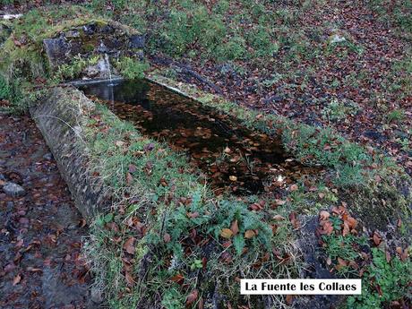 Bezanes-El Cotu Abeyar-Entrerregueros-La Brañueta-Biforcos