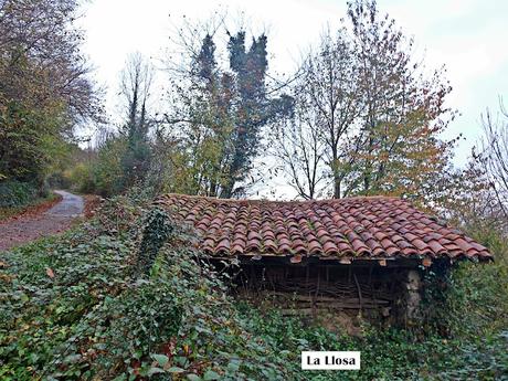 Bezanes-El Cotu Abeyar-Entrerregueros-La Brañueta-Biforcos