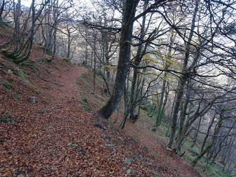 Bezanes-El Cotu Abeyar-Entrerregueros-La Brañueta-Biforcos