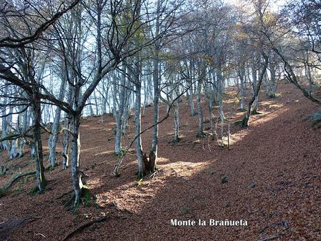 Bezanes-El Cotu Abeyar-Entrerregueros-La Brañueta-Biforcos