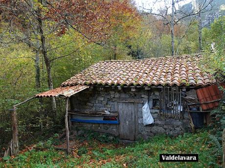 Bezanes-El Cotu Abeyar-Entrerregueros-La Brañueta-Biforcos Bezanes-El Cotu Abeyar-Entrerregueros-La Brañueta-Biforcos