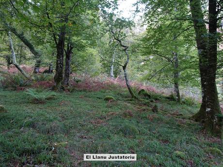 Bierru-Tordín-Caoru-Arenas de Cabrales