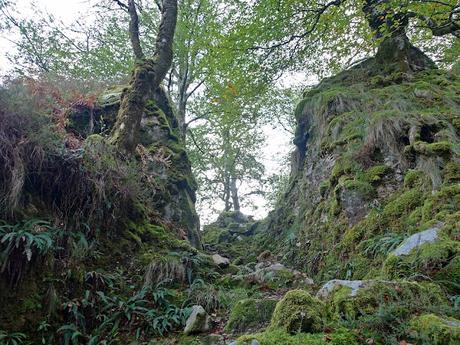 Bierru-Tordín-Caoru-Arenas de Cabrales
