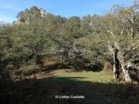 Bierru-Tordín-Caoru-Arenas de Cabrales