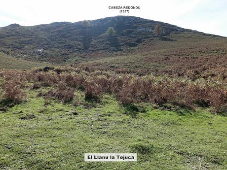 Bierru-Tordín-Caoru-Arenas de Cabrales