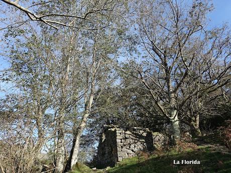 Bierru-Tordín-Caoru-Arenas de Cabrales