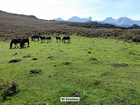Bierru-Tordín-Caoru-Arenas de Cabrales