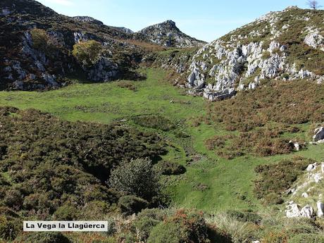 Bierru-Tordín-Caoru-Arenas de Cabrales