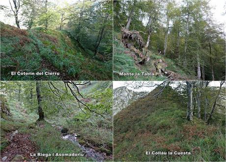 Bierru-Tordín-Caoru-Arenas de Cabrales