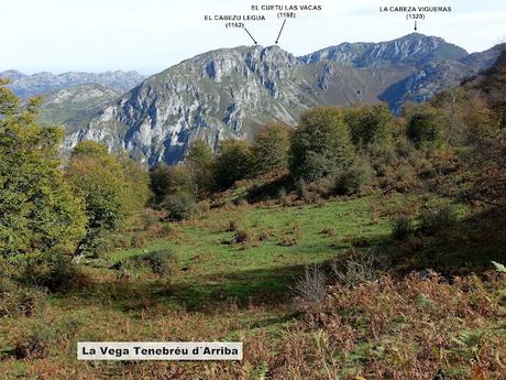 Bierru-Tordín-Caoru-Arenas de Cabrales