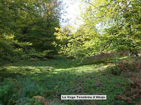Bierru-Tordín-Caoru-Arenas de Cabrales