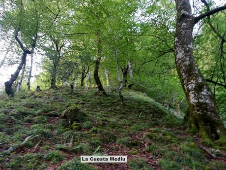 Bierru-Tordín-Caoru-Arenas de Cabrales