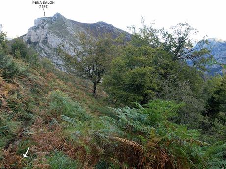 Puente la Güera-Miesca-Peña Subes-Tolivia