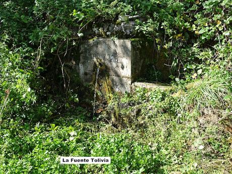 Puente la Güera-Miesca-Peña Subes-Tolivia