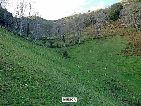 Puente la Güera-Miesca-Peña Subes-Tolivia