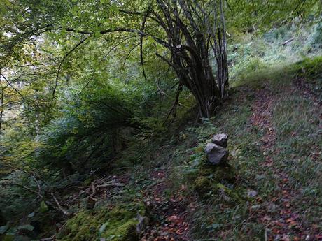 Puente la Güera-Miesca-Peña Subes-Tolivia