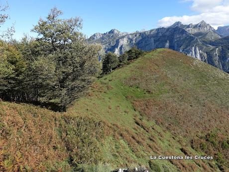 Puente la Güera-Miesca-Peña Subes-Tolivia