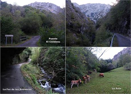 Puente la Güera-Miesca-Peña Subes-Tolivia