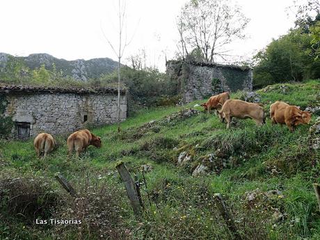 Bores-El Puertu Nedrina-La Cabeza Vigueras