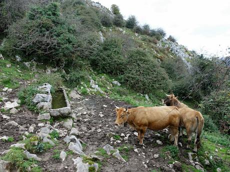 Bores-El Puertu Nedrina-La Cabeza Vigueras Bores-El Puertu Nedrina-La Cabeza Vigueras