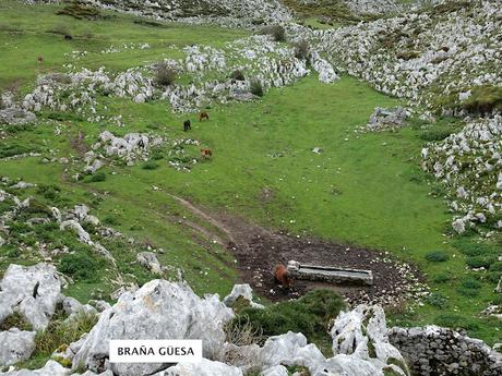 Bores-El Puertu Nedrina-La Cabeza Vigueras