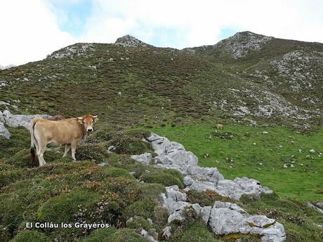 Buferrera-Belbín-La Redondiella-Combéu-Arnaedu