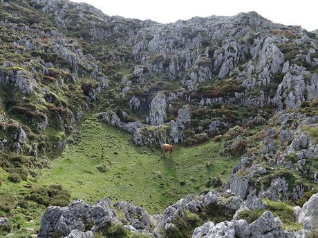Buferrera-Belbín-La Redondiella-Combéu-Arnaedu