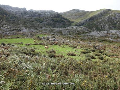 Buferrera-Belbín-La Redondiella-Combéu-Arnaedu