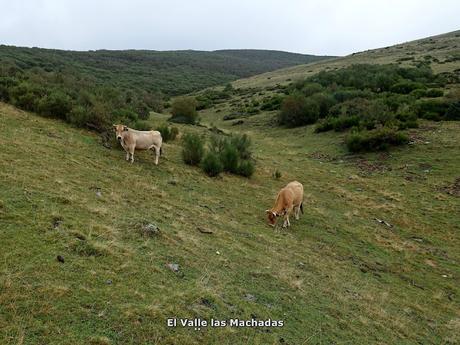 La Peral-Mocosu-Ḷḷagunas del Páramo-Las Fervienzas